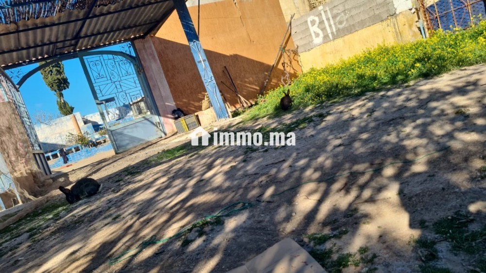 Ferme TITRE BIEN EQUIBE A VENDRE - Vente Immobilier - Khouribga - photo 8
