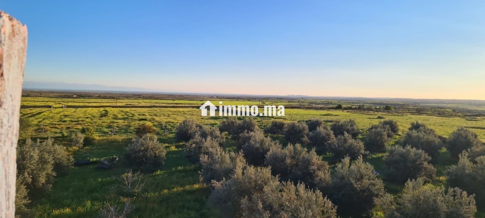 Ferme TITRE BIEN EQUIBE A VENDRE - Vente Immobilier - Khouribga - photo 6