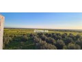 Ferme TITRE BIEN EQUIBE A VENDRE - miniature 6