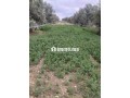 Ferme TITRE BIEN EQUIBE A VENDRE - miniature 1