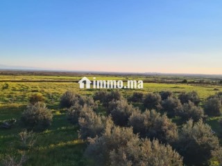 Ferme TITRE BIEN EQUIBE A VENDRE - Terrain à vendre - Khouribga