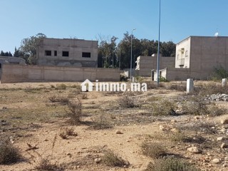 Terrain villa 400 m2 à SAFI - Terrain à vendre - Safi