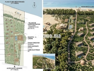 Vendre de terrain magnifique pied sur mer à Al Hoceima région Souani PK16 - Terrain à vendre - Al Hoceïma