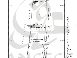Vendre de terrain magnifique pied sur mer à Al Hoceima région Souani PK16 - Terrain à vendre - Al Hoceïma