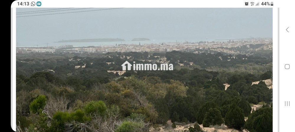 TERRAIN A VENDRE, REGION D'ESSAOUIRA - Vente Immobilier - Essaouira - photo 1