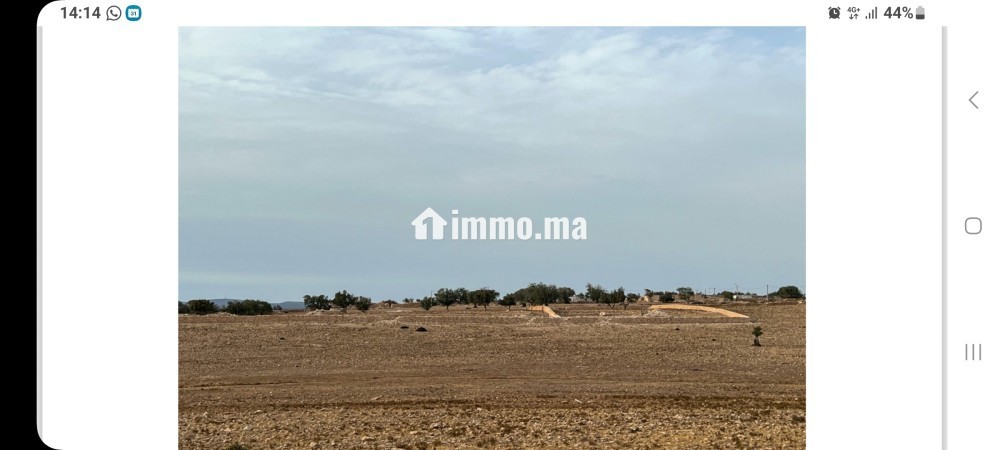 TERRAIN A VENDRE, REGION D'ESSAOUIRA - Vente Immobilier - Essaouira - photo 2