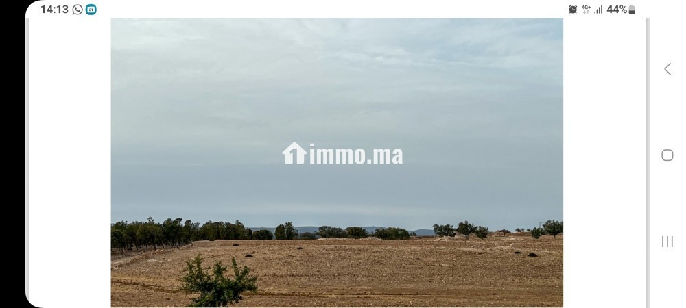 TERRAIN A VENDRE, REGION D'ESSAOUIRA - Vente Immobilier - Essaouira - photo 3