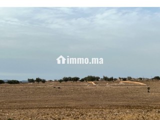 TERRAIN A VENDRE, REGION D'ESSAOUIRA - Terrain à vendre - Essaouira