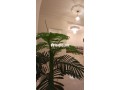 APPART 100M² MEUBLE 10MIN DE LA PLAGE - miniature 3