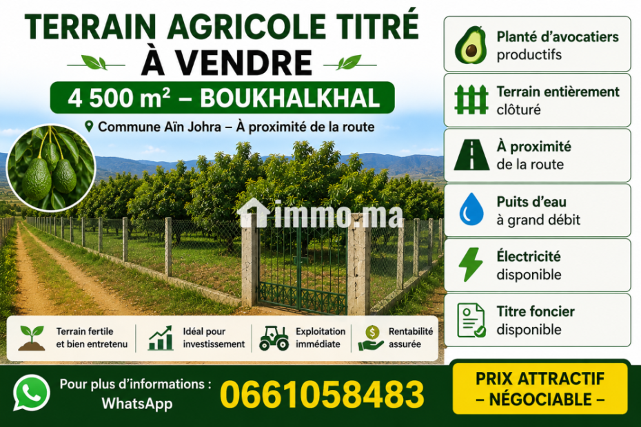 Terrain agricole titré à vendre - Vente Immobilier - Tiflet - photo 1
