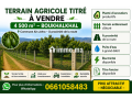 Terrain agricole titré à vendre - miniature 1