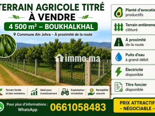 Terrain agricole titré à vendre - Terrain à vendre - Tiflet