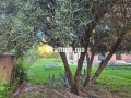 Villa à vendre à Route de Fès - miniature 4