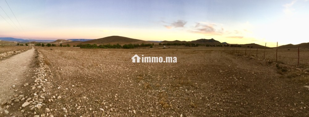 Terrain titré sur tri9 gharb 5ha أرض فلاحية محفظة - Vente Immobilier - Oujda - photo 1