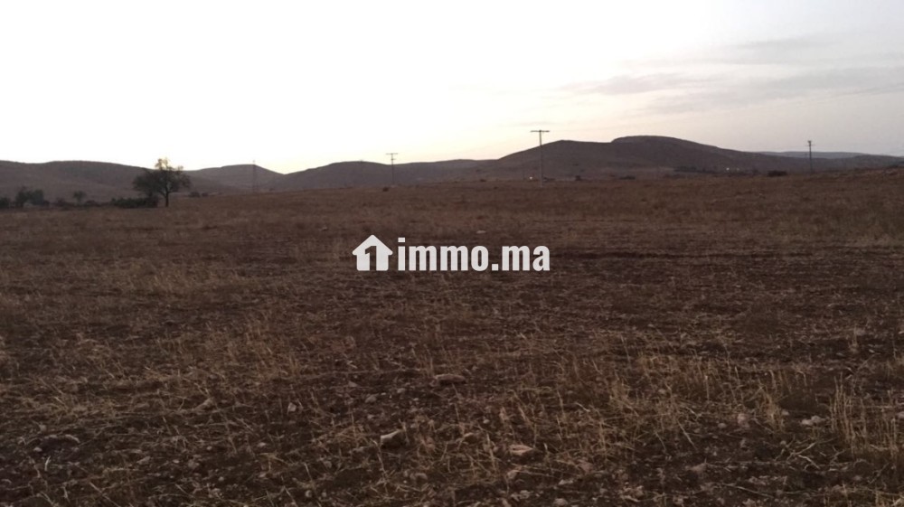 Terrain titré sur tri9 gharb 5ha أرض فلاحية محفظة - Vente Immobilier - Oujda - photo 2