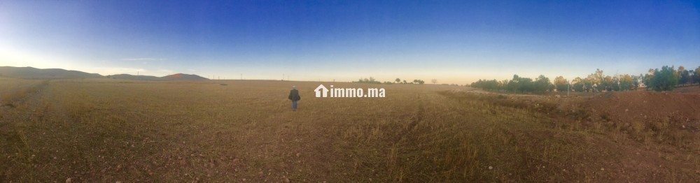 Terrain titré sur tri9 gharb 5ha أرض فلاحية محفظة - Vente Immobilier - Oujda - photo 4