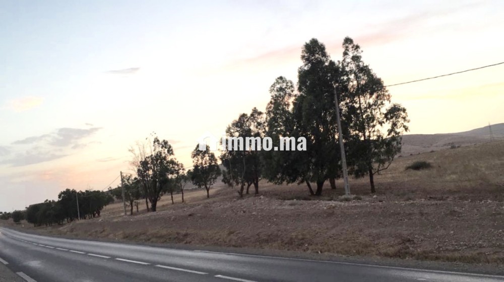 Terrain titré sur tri9 gharb 5ha أرض فلاحية محفظة - Vente Immobilier - Oujda - photo 3