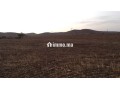 Terrain titré sur tri9 gharb 5ha أرض فلاحية محفظة - miniature 2