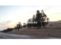 Terrain titré sur tri9 gharb 5ha أرض فلاحية محفظة - miniature 3