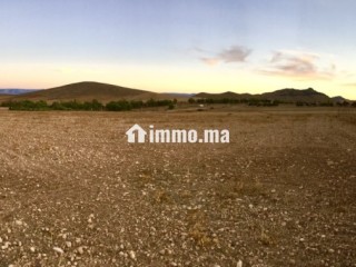 Terrain titré sur tri9 gharb 5ha أرض فلاحية محفظة - Terrain à vendre - Oujda