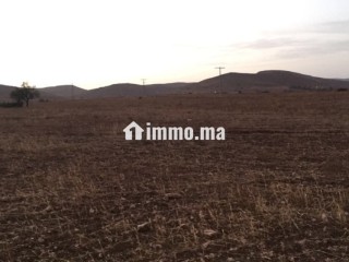 Terrain titré sur tri9 gharb 5ha أرض فلاحية محفظة - Terrain à vendre - Oujda