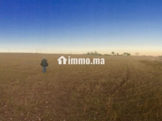 Terrain titré sur tri9 gharb 5ha أرض فلاحية محفظة - Terrain à vendre - Oujda