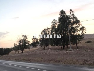 Terrain titré sur tri9 gharb 5ha أرض فلاحية محفظة - Terrain à vendre - Oujda