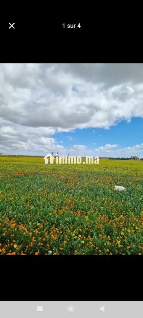 Vente d un terrain agricole - Vente Immobilier - Benslimane - photo 1