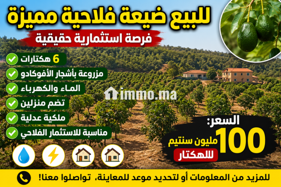 6 هيكترات لافوكا - Vente Immobilier - Tanger - photo 1