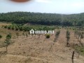 6 هيكترات لافوكا - miniature 2