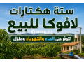 6 هيكترات لافوكا - miniature 3