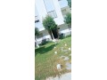 Appartement spacieux pour les familles - miniature 7