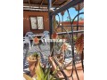 Belles maisons à louer - miniature 6