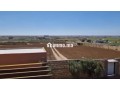 Ferme avec piscine à 10 min El jadida - miniature 2