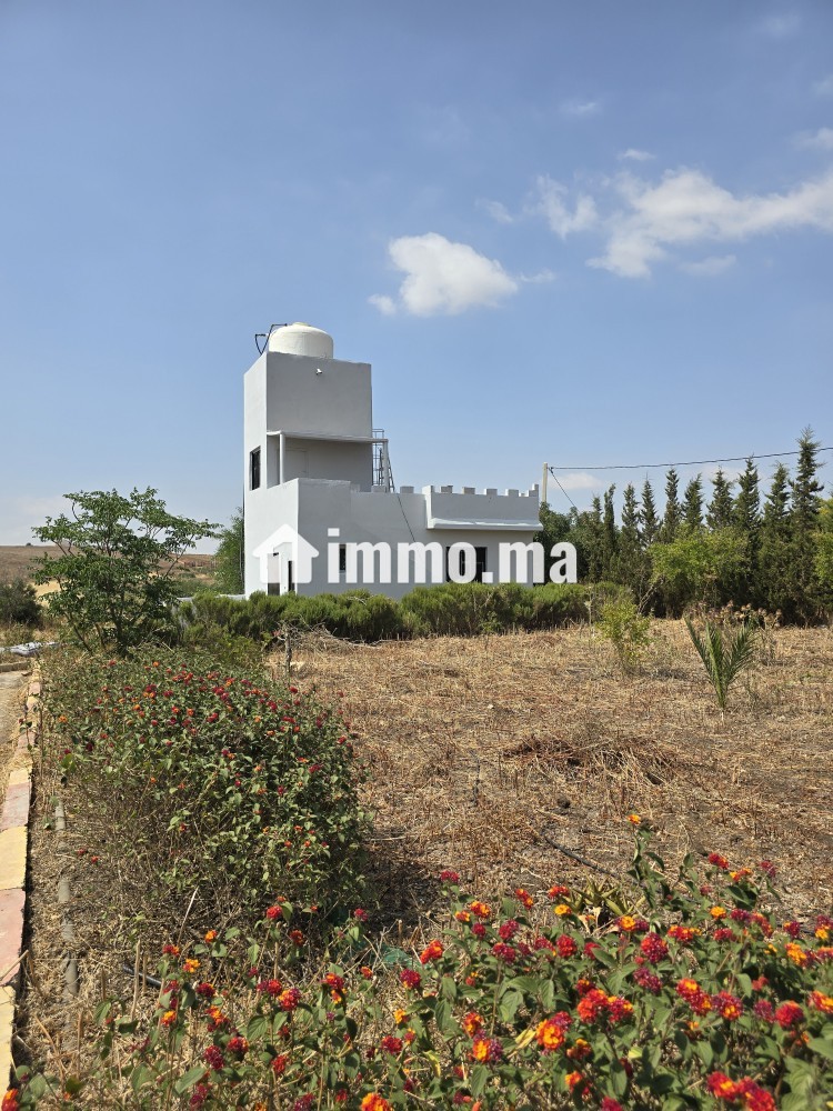 Ferme à vendre à tlate zyayda vu panoramique avec piscine 3 terrasse villa maisons de gardien - Terrain à vendre - Benslimane