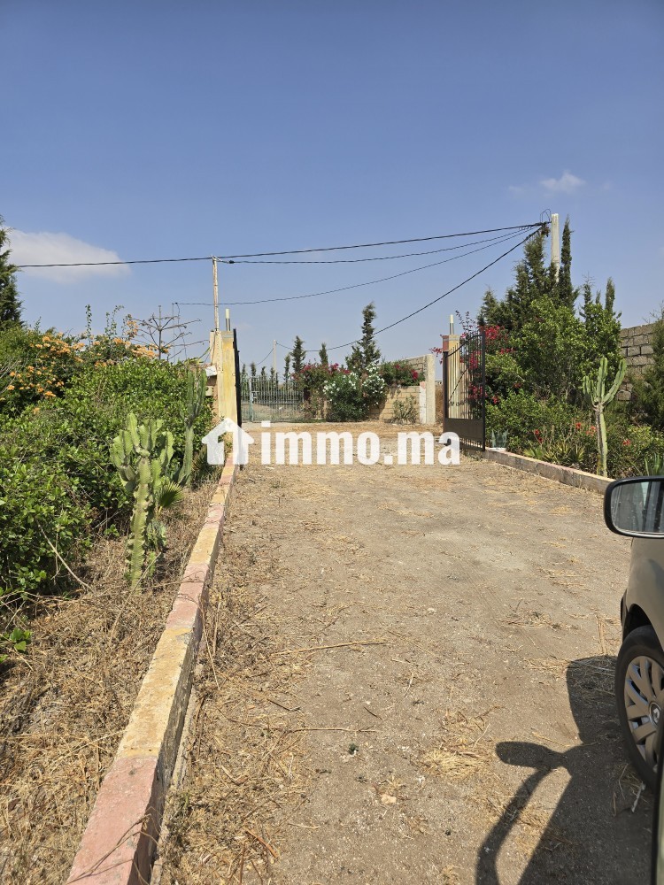 Ferme à vendre à tlate zyayda vu panoramique avec piscine 3 terrasse villa maisons de gardien - Terrain à vendre - Benslimane