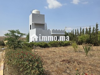 Ferme à vendre à tlate zyayda vu panoramique avec piscine 3 terrasse villa maisons de gardien - Terrain à vendre - Benslimane
