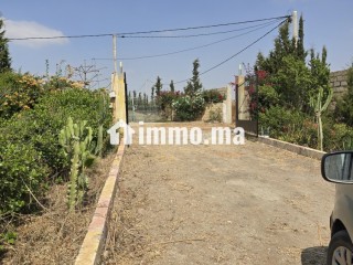 Ferme à vendre à tlate zyayda vu panoramique avec piscine 3 terrasse villa maisons de gardien - Terrain à vendre - Benslimane
