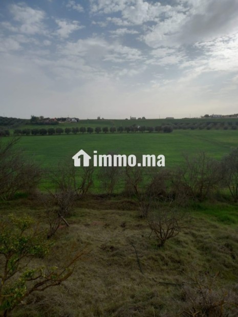 Ferme à vendre entre Tiflet et Khemisat - Vente Immobilier - Khemisset - photo 2