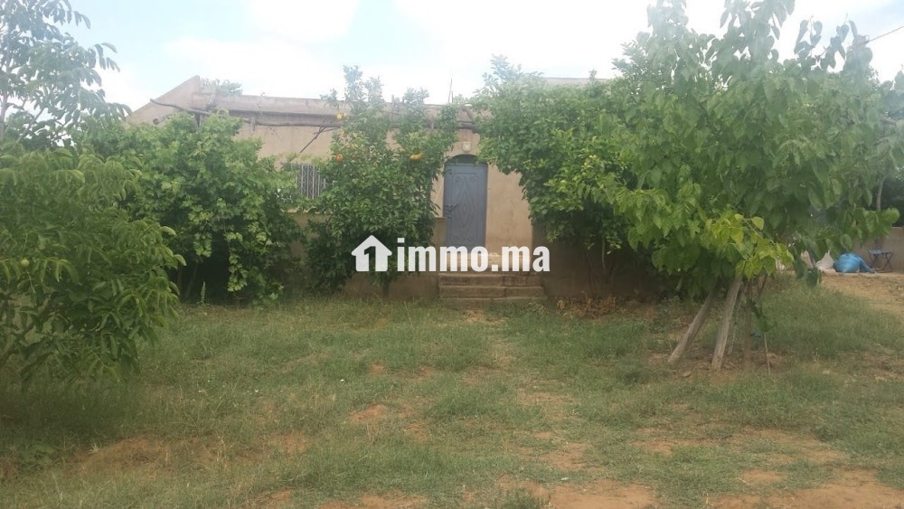Ferme à vendre entre Tiflet et Khemisat - Vente Immobilier - Khemisset - photo 3