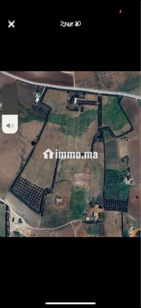 Ferme à vendre entre Tiflet et Khemisat - Vente Immobilier - Khemisset - photo 6
