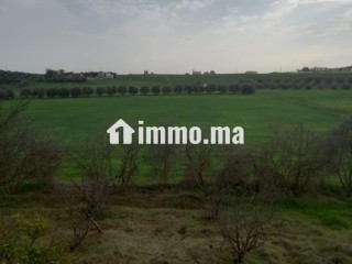 Ferme à vendre entre Tiflet et Khemisat - Terrain à vendre - Khemisset