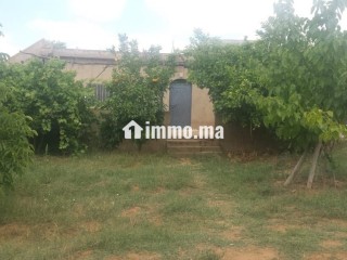 Ferme à vendre entre Tiflet et Khemisat - Terrain à vendre - Khemisset