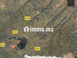 Ferme à vendre entre Tiflet et Khemisat - Terrain à vendre - Khemisset