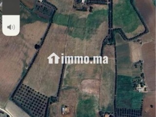 Ferme à vendre entre Tiflet et Khemisat - Terrain à vendre - Khemisset