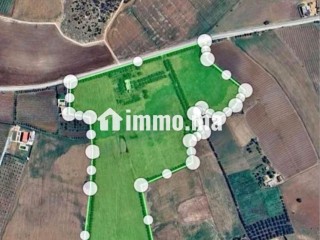 Ferme à vendre entre Tiflet et Khemisat - Terrain à vendre - Khemisset