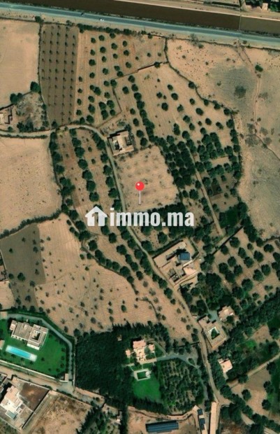 Terrain de 2000m2- 19 km de Marrakech - Vente Immobilier - Marrakech - photo 3