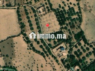 Terrain de 2000m2- 19 km de Marrakech - Terrain à vendre - Marrakech