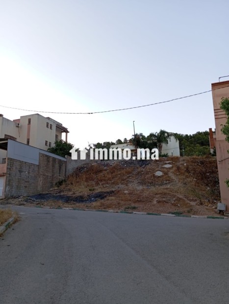 Terrain pour villa - Vente Immobilier - Fes - photo 6