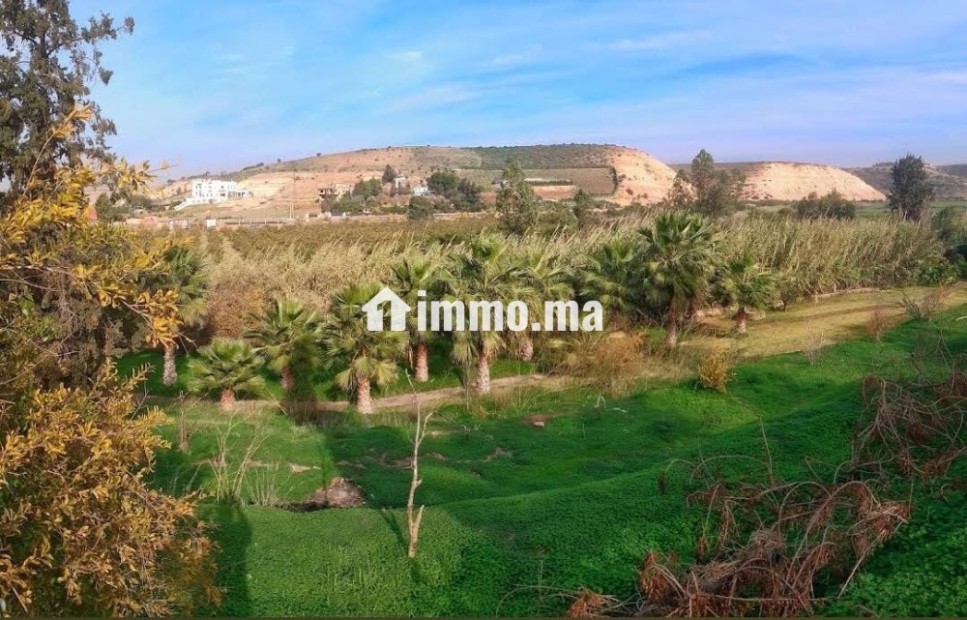 La ferme de tit Melil - Location Vacances - Tit mellil - photo 7